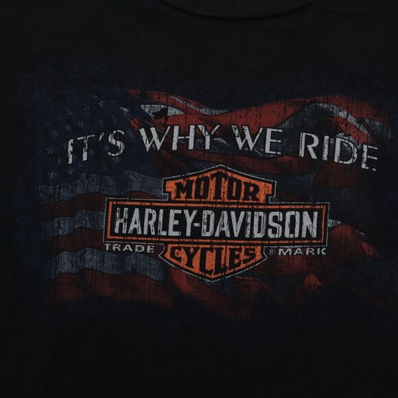 Harley Davidson Shirt Mens L Black It's Why We Ride Short Sleeve Tee Auburn MA - Picture 8 of 14